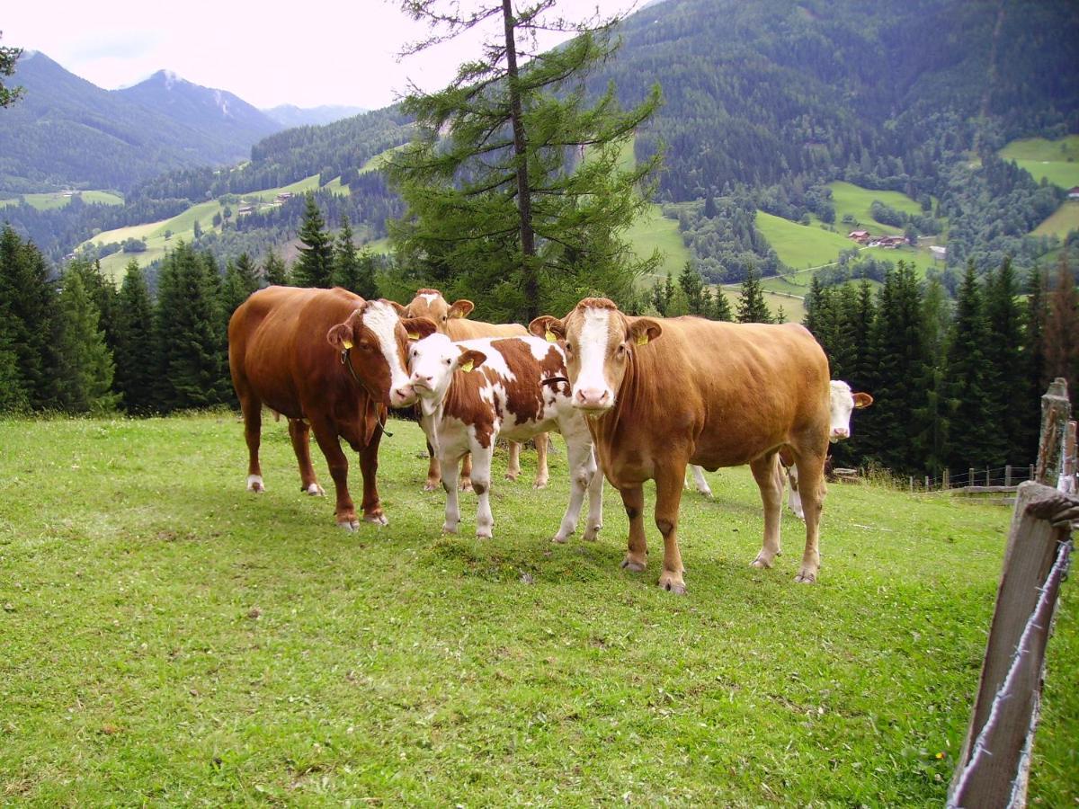 Mittergruberhof Bed & Breakfast Schladming Luaran gambar